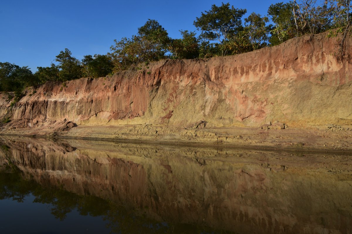 A red and ochre eroded bank topped with green trees rises above the still Rufiji River, mirrored in the water under a deep blue sky.