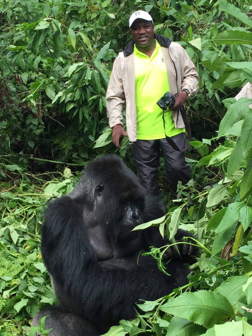Ambrose Mtui standing beside a mountain gorilla in thick green forest