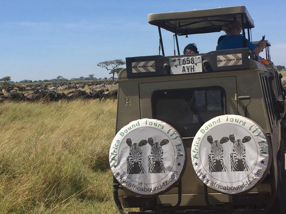 An Africa Bound Tours safari vehicle with its roof raised, a herd grazing behind it